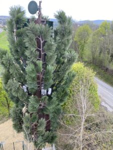 Pylone Arbre Celle 4