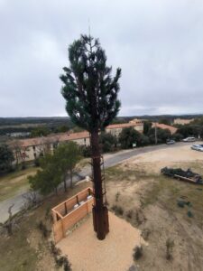 Pylône arbre Celle