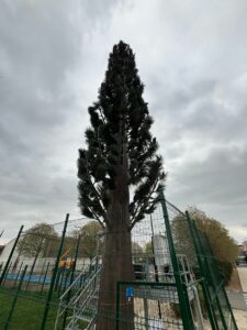 Pylône Arbre Celle 2